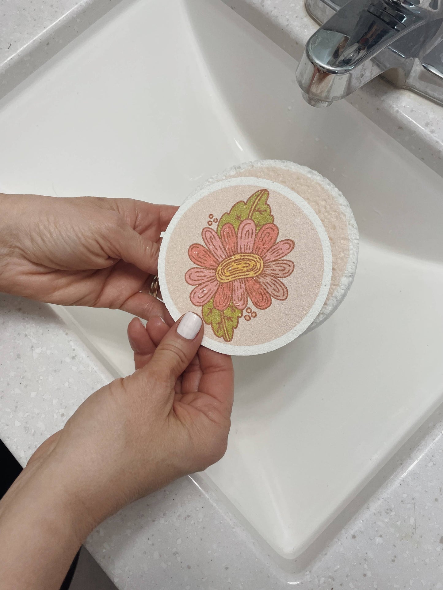 Pop-Up Eco Sponges: Snail