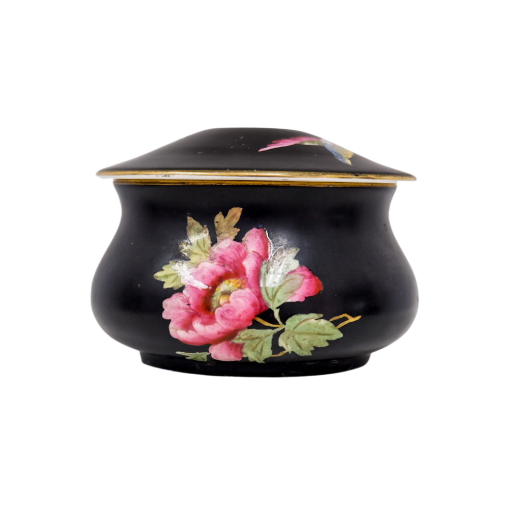 Midnight Velvet and Peonies