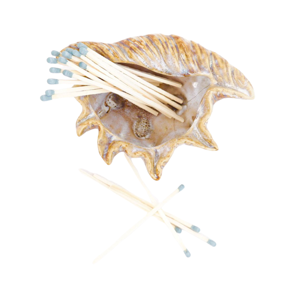Ceramic Conch Shell Match Holder