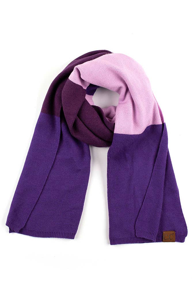 C.C Color Block Knit Scarf: Eggplant