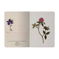 A6 Passport Notebook -  Symmetrical Flora