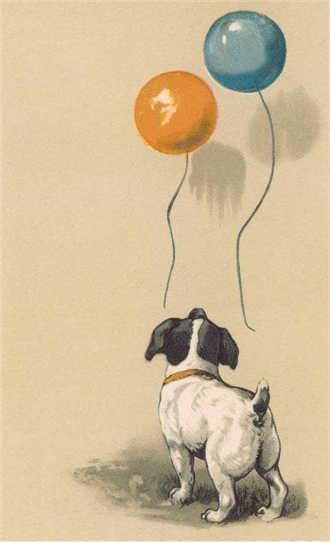 Postcard DG-242 Dog with Two Balloons