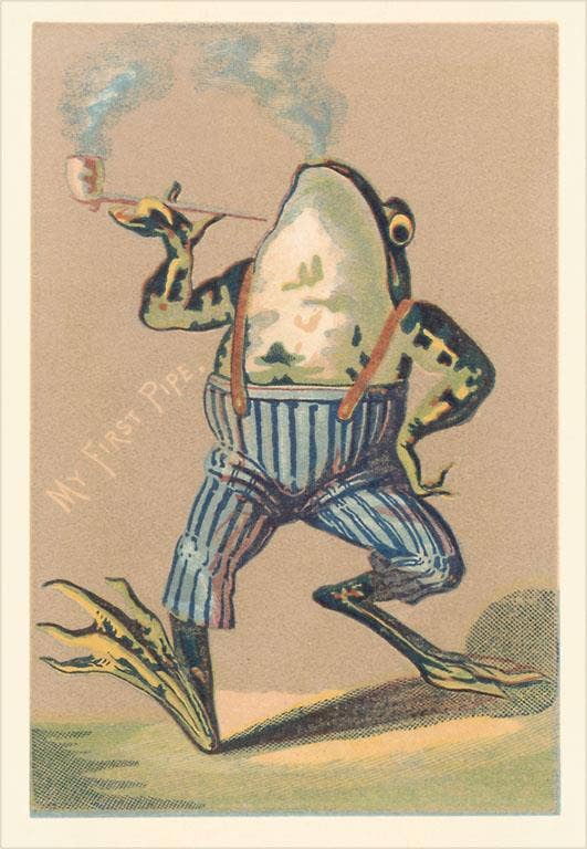 Postcard AN-366 Walking Frog Smoking a Pipe