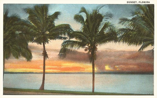 Postcard FL-18 Sunset, Palm Trees, Florida